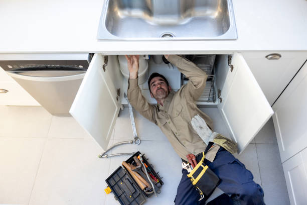 Best Emergency Plumber  in Truman, MN