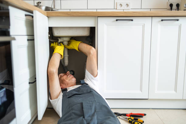 Best Clogged Drain Plumber  in Truman, MN