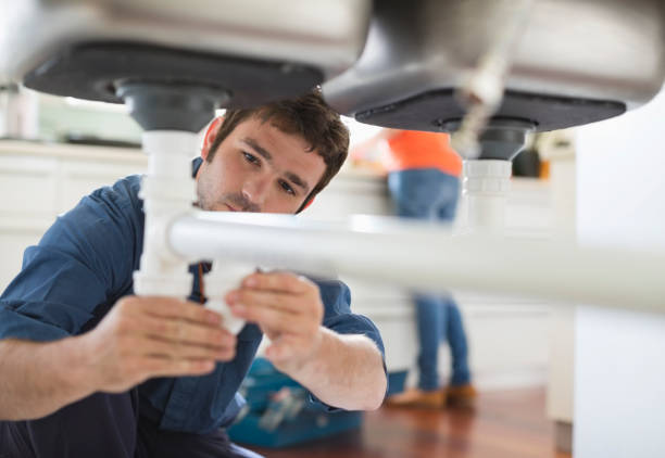 Best Affordable Plumbing Services  in Truman, MN