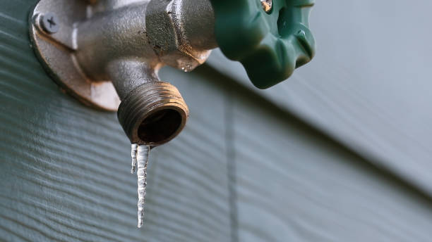 Best Leak Detection Services  in Truman, MN